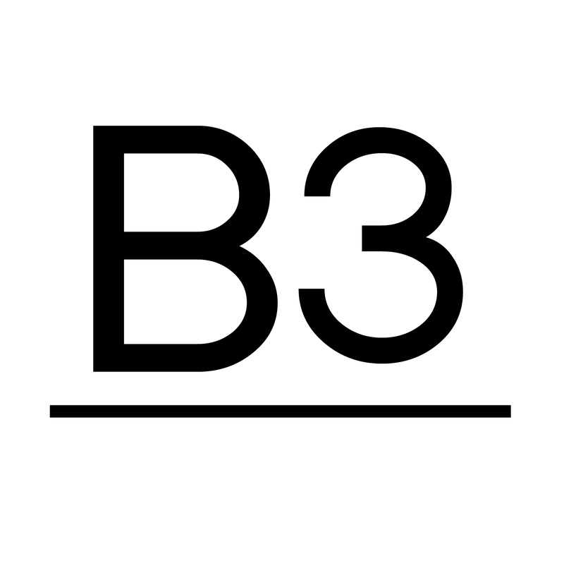 B3