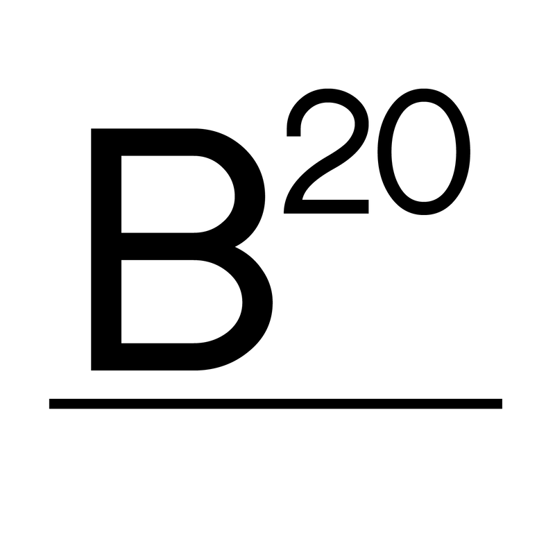 B20