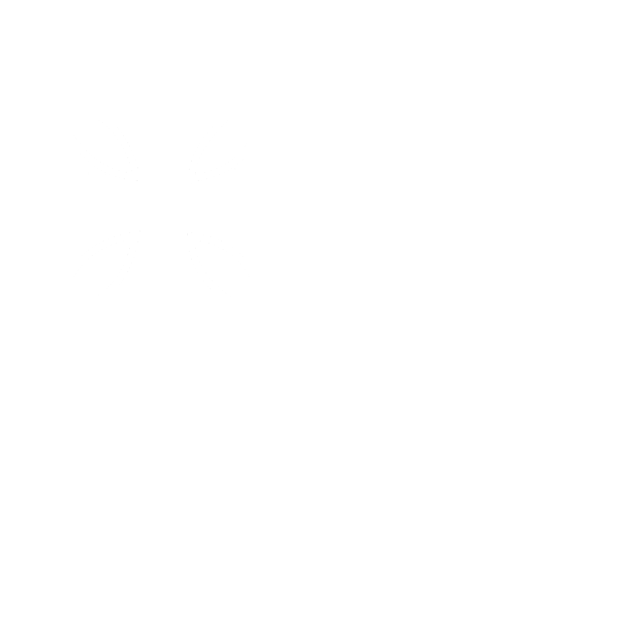 C29